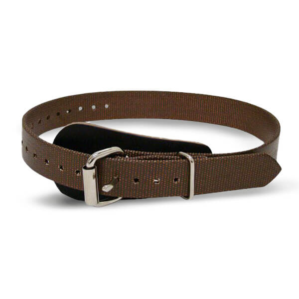 Buckingham Leg Straps